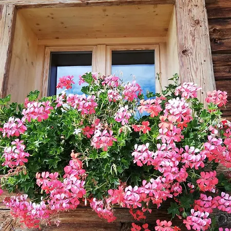 Et Tables D'hotes Le Choton A Nono - Col Du Joly Beaufortain Bed & Breakfast *